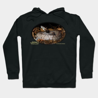 Hognosed Pitviper Hoodie